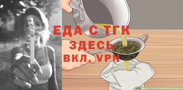 индика Гусиноозёрск