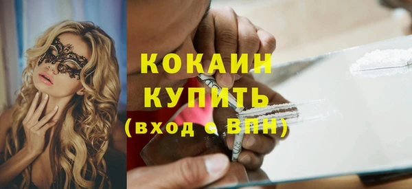 индика Гусиноозёрск