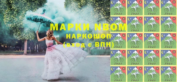 индика Гусиноозёрск