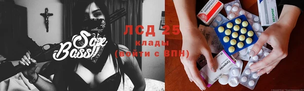 индика Гусиноозёрск