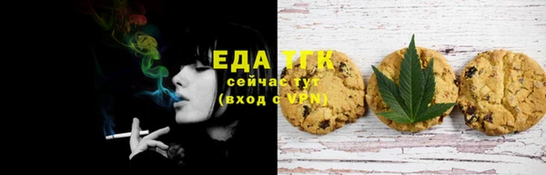 индика Гусиноозёрск