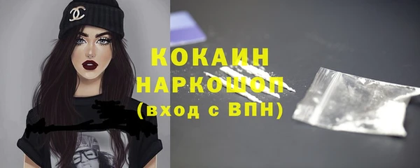 индика Гусиноозёрск