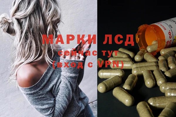 индика Гусиноозёрск