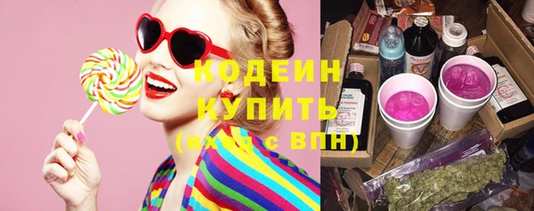 индика Гусиноозёрск