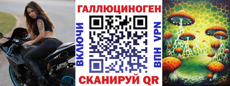 Галлюциногенные грибы Psilocybe  Купить  Краснослободск 